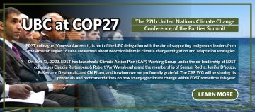 The 27th United Nations Climate Change Conference of the Parties (COP27) summit